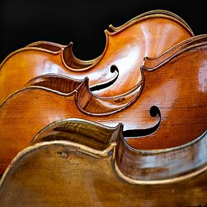 3 Concerten in oktober