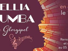 stellia-koumba-515×250 stellia-koumba-515x250